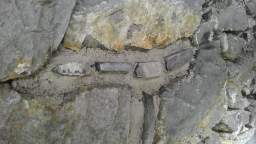 acastle
                          110580.jpg